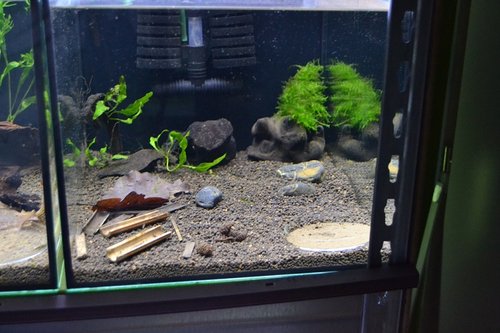 fluval-CRS