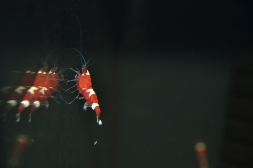 DSC_0895.JPG