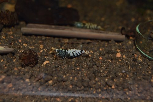 DSC_1094.JPG