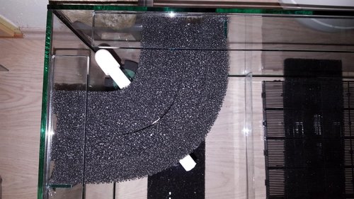 20160606_221103_new.jpg