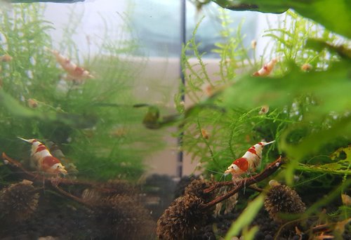 20160611_094153_new.jpg
