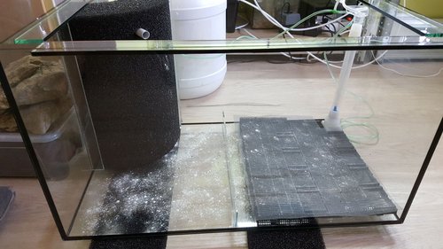 20160619_085035_new.jpg