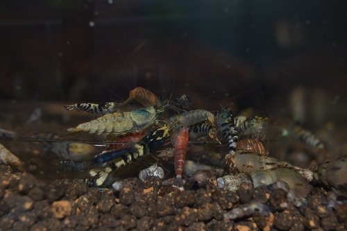 DSC_1114.JPG