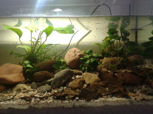 2015-01-12 12.11.59.jpg