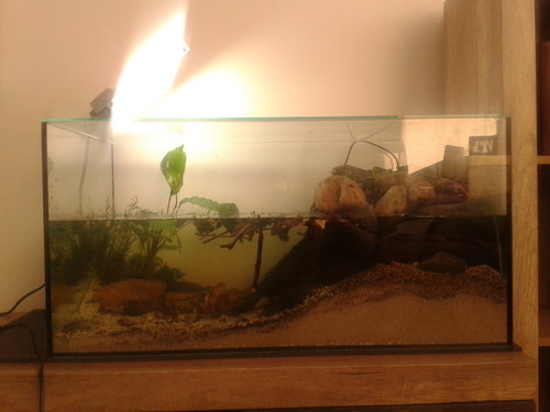 2014-12-13 13.37.12.jpg