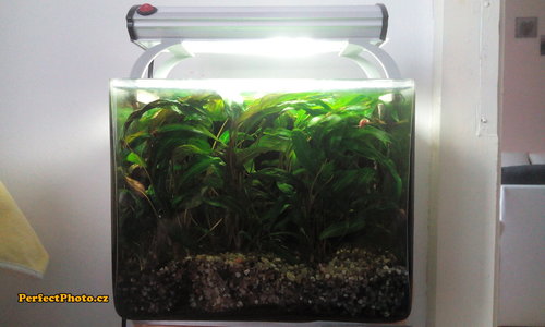 IMG_20170102_140322_PerfectPhoto.cz_2017-01-17 08-47-16.jpg