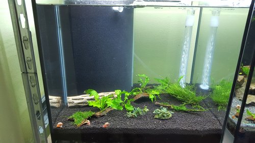 20170118_075810.jpg