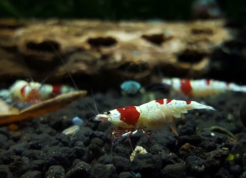 20170120_212459.jpg
