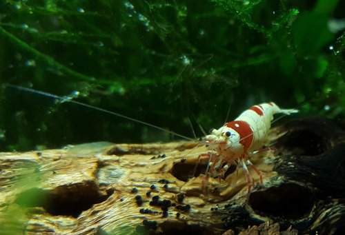 20170122_141515.jpg