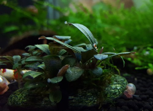 20170216_175606.jpg