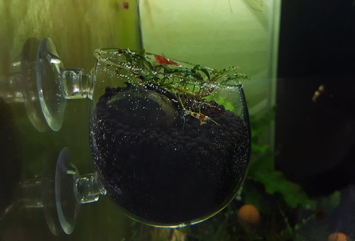 20170223_204730.jpg