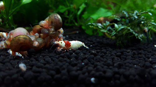 20170312_191948.jpg