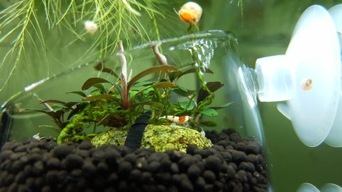 20170312_192127.jpg