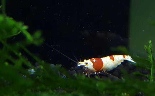 20161029_082637.jpg