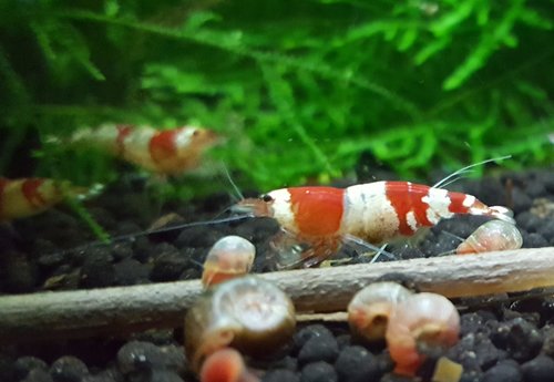 20160920_200834.jpg