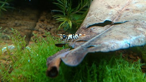IMG_20170415_125325.jpg