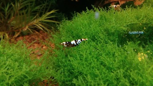 IMG_20170415_155401.jpg