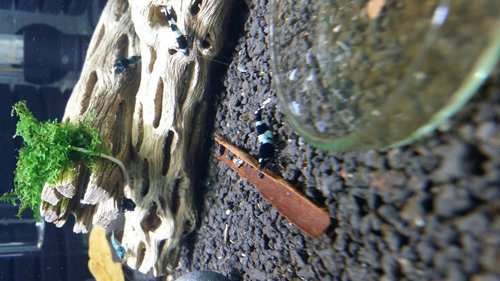0_20170429_173119.jpg