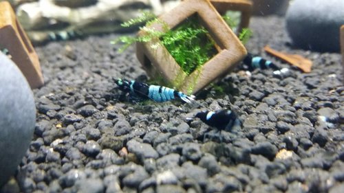 0_20170430_140927.jpg