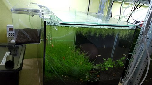 20170515_203829.jpg