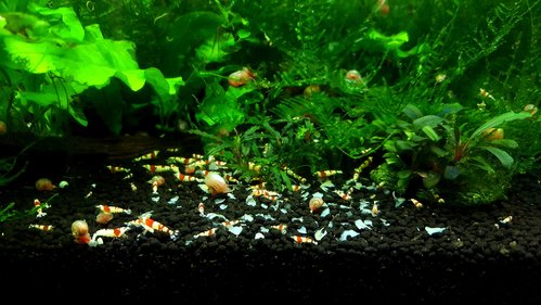 20170520_094944.jpg
