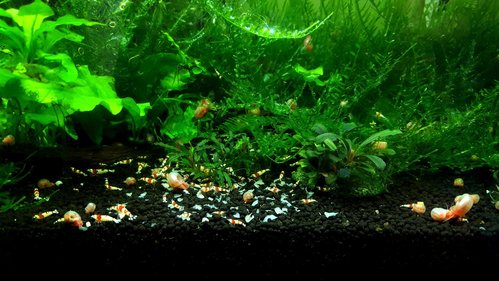 20170520_094953.jpg