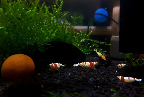 20170526_080248.jpg