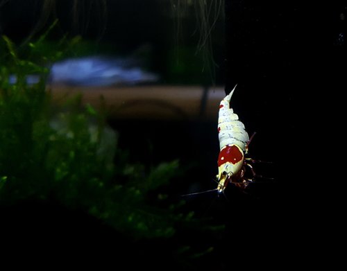 20170527_153042.jpg