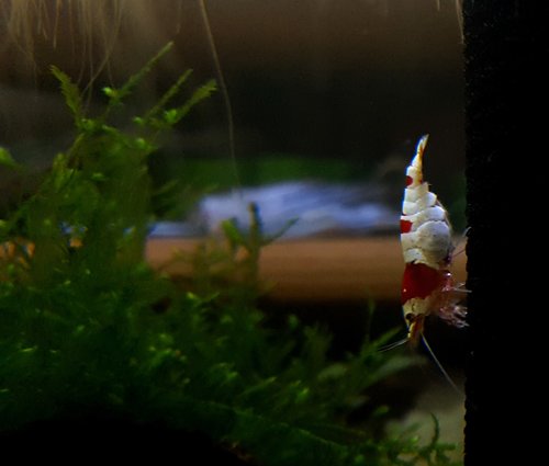 20170528_150707.jpg