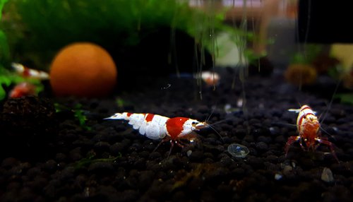 20170528_155911.jpg