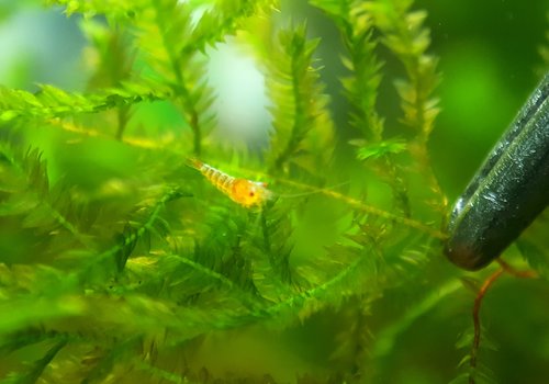 20170601_075011.jpg
