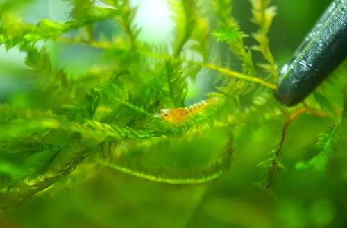 20170601_075049.jpg