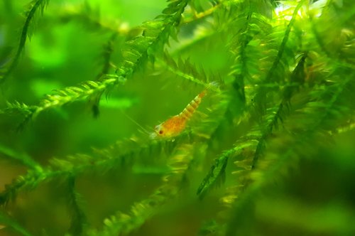 20170601_075243.jpg