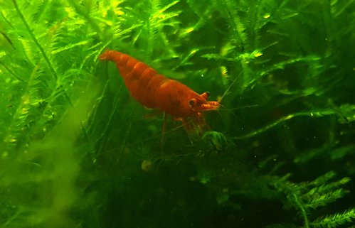 20170622_164919.jpg