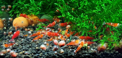 20170623_074635.jpg