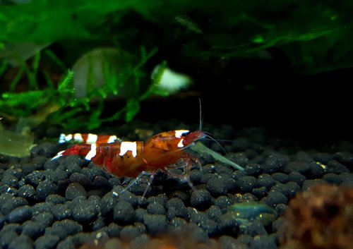 20170623_074731.jpg