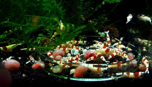 20170623_074918.jpg