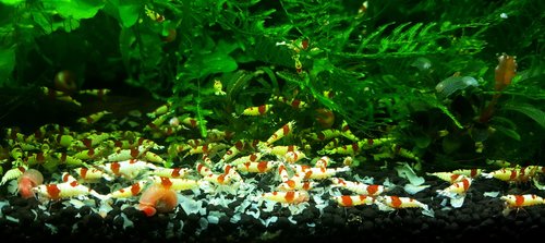 20170624_213341.jpg