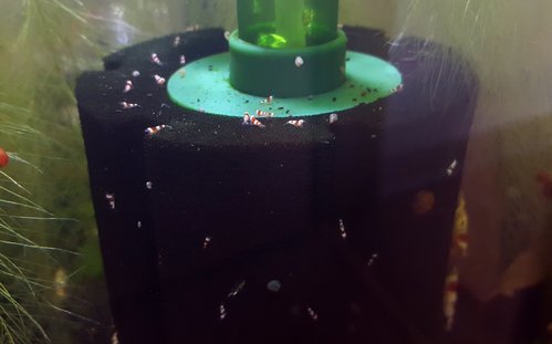 20170625_103918.jpg
