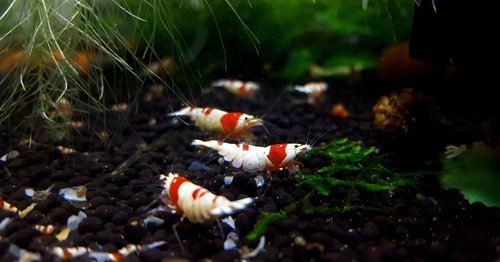 20170625_184819.jpg