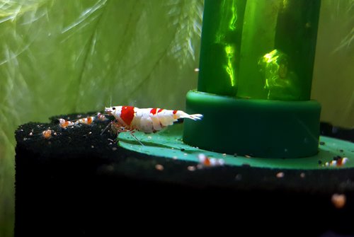 20170626_083540.jpg