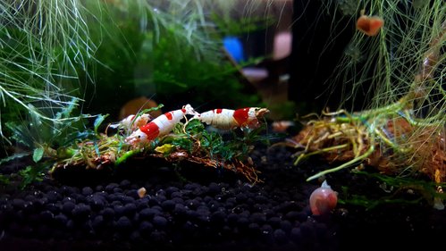 20170628_075914.jpg