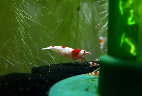 20170630_081222.jpg