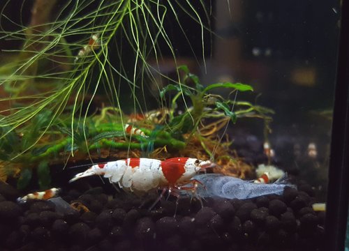 20170712_205618.jpg