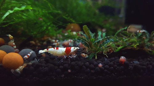 20170715_211508.jpg