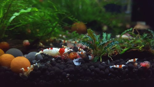 20170715_211936.jpg