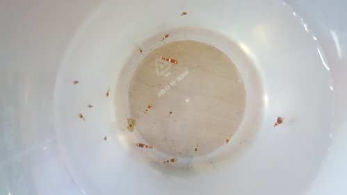 20170723_083358.jpg