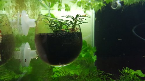 20170717_213752.jpg