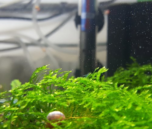 20180119_154241.jpg