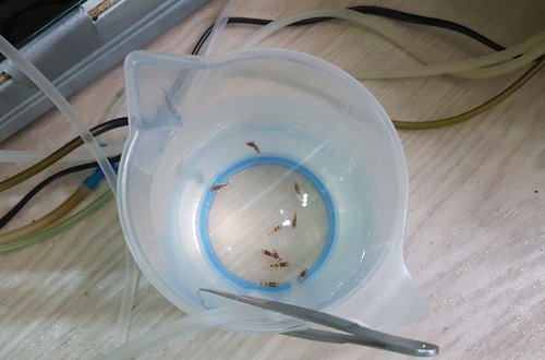 20180221_105635.jpg